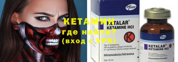 индика Алексин