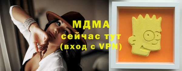 индика Алексин