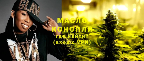 крисы Надым