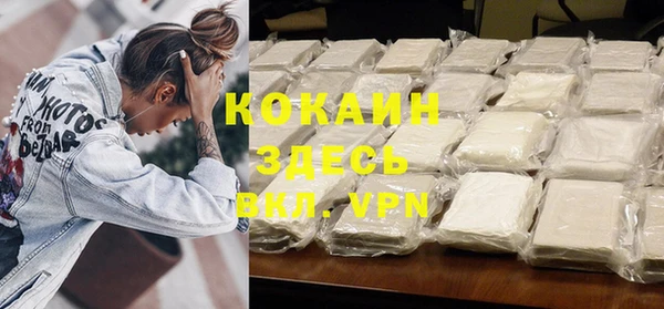 индика Алексин
