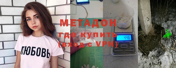 индика Алексин