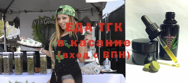 индика Алексин