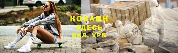 индика Алексин
