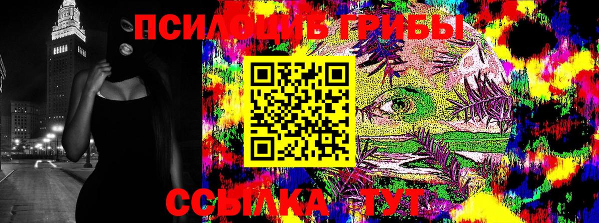 Галлюциногенные грибы Psilocybe Энгельс
